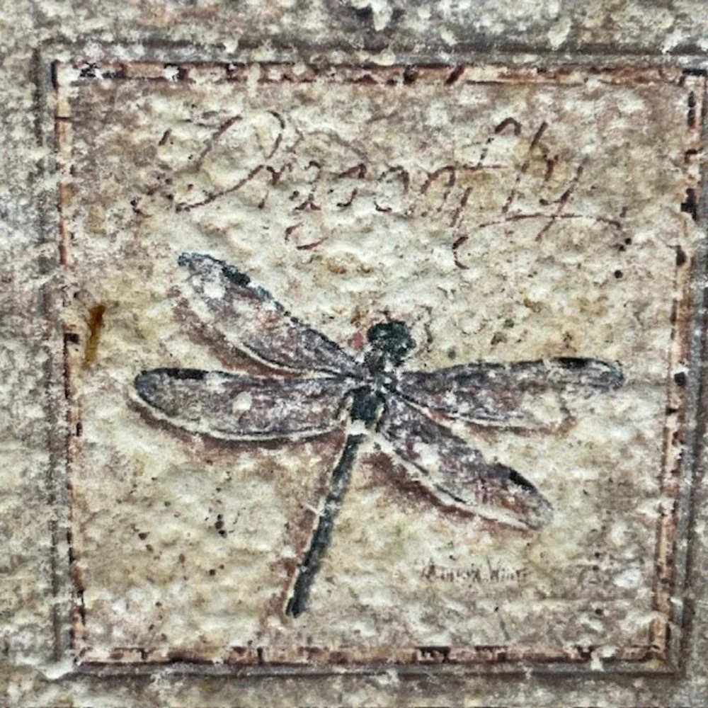 Dragonfly & Bumble Bee Ceramic Coasters Distressed Rustic Cork Backing Set‎ of 2